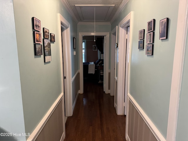 hall with attic access, dark wood-type flooring, wainscoting, crown molding, and a decorative wall
