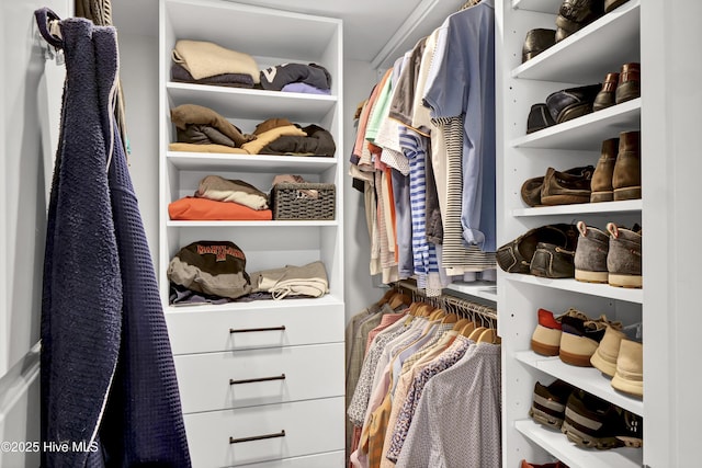 view of walk in closet