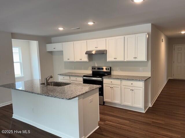 1120 Goldsboro Rd, Boiling Spring Lakes, NC 28461 - kitchen featuring stainless steel electric range oven, under cabinet range hood, dark wood finished floors, light stone countertops, and recessed lighting