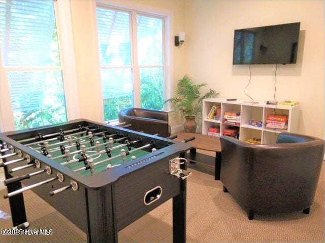 recreation room with carpet floors and healthy amount of natural light
