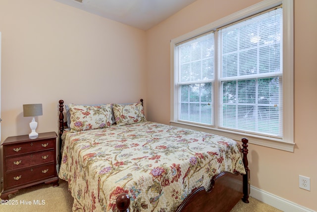 203 Abbey Ln, Wilmington, NC 28411 - bedroom with multiple windows, carpet, and baseboards