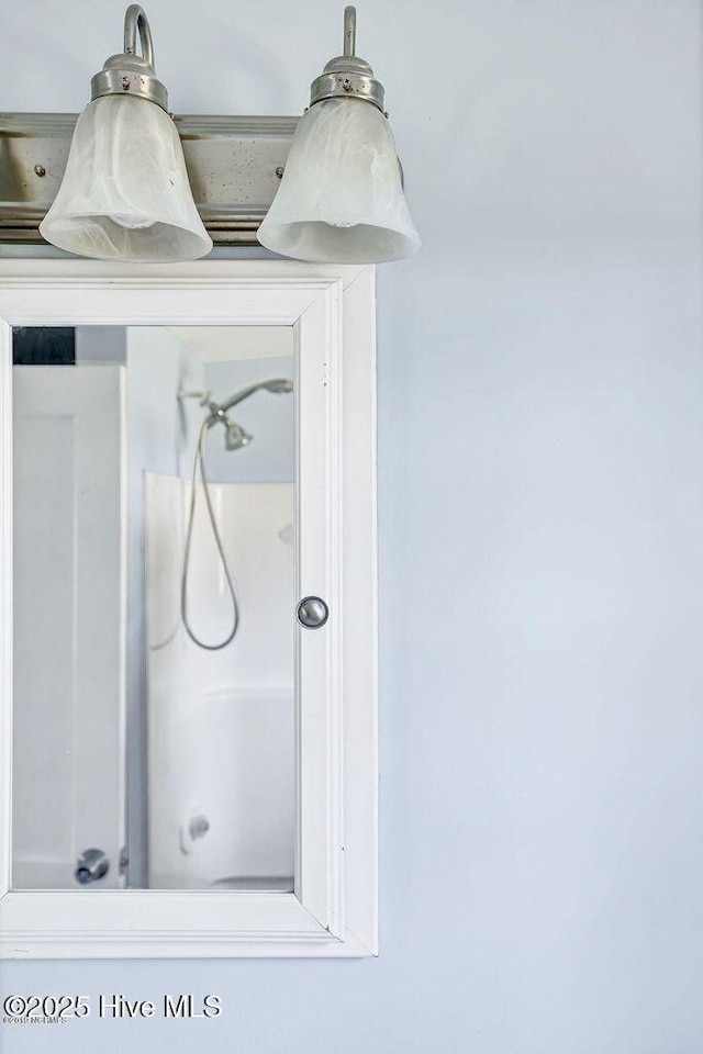 159 Shady Lane Rd, Willard, NC 28478 - bathroom view