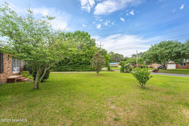 514 Mohican Trl, Wilmington, NC 28409 - view of grassy yard