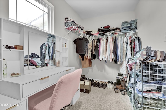 spacious closet featuring carpet flooring