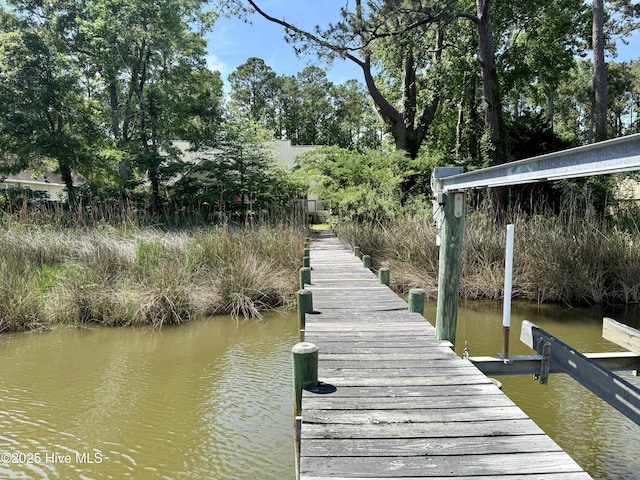 6112 Horton Rd, Oriental, NC 28571 - dock area featuring a water view and view of wooded area