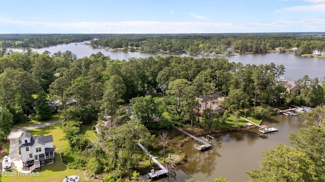 6112 Horton Rd, Oriental, NC 28571 - aerial view of property and surrounding area with a large body of water and a forest