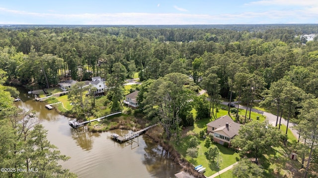 6112 Horton Rd, Oriental, NC 28571 - bird's eye view of a large body of water and a forest