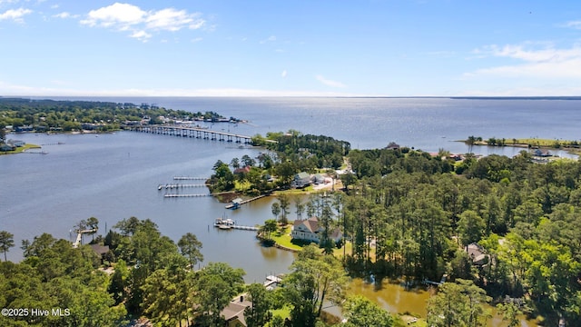 6112 Horton Rd, Oriental, NC 28571 - drone / aerial view of a large body of water and a notable bridge