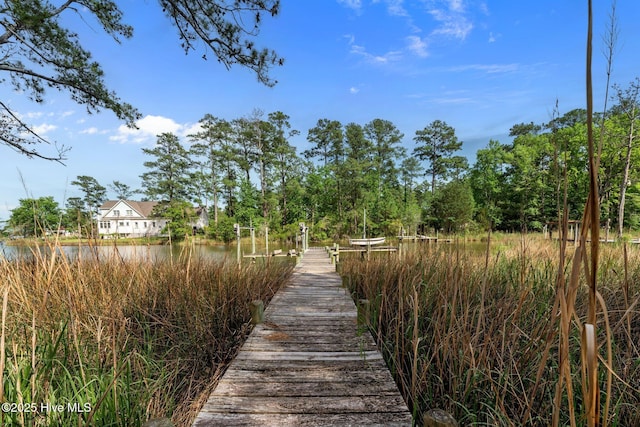 6112 Horton Rd, Oriental, NC 28571 - surrounding community with a dock and a water view