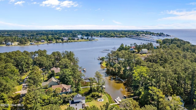 6112 Horton Rd, Oriental, NC 28571 - drone / aerial view of a large body of water