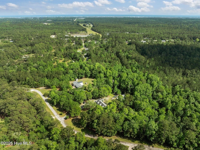 270 N Jenkins St, Holly Ridge, NC 28445 - aerial view of property's location featuring a heavily wooded area