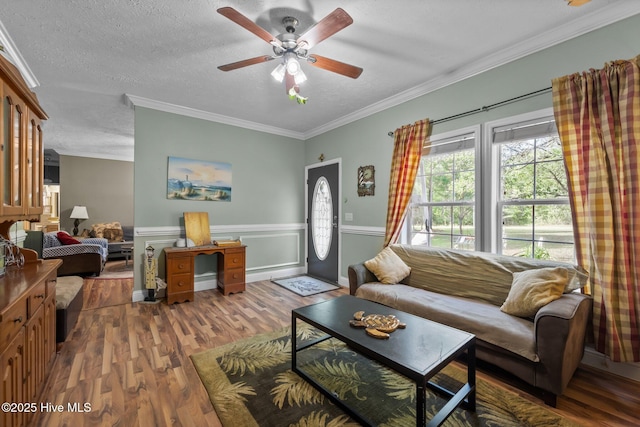 270 N Jenkins St, Holly Ridge, NC 28445 - living room featuring a ceiling fan, wood finished floors, ornamental molding, a textured ceiling, and a wainscoted wall