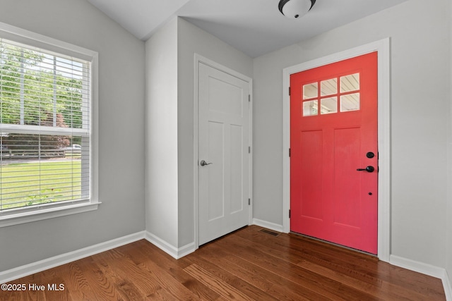 1139 Cranes Creek Rd, Cameron, NC 28326 - foyer featuring wood finished floors, healthy amount of natural light, and baseboards