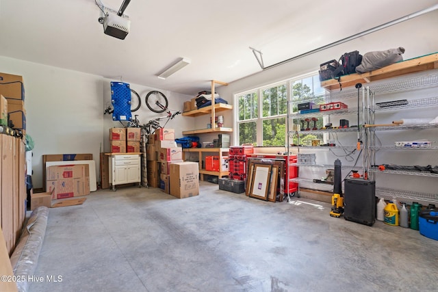 1139 Cranes Creek Rd, Cameron, NC 28326 - garage featuring a garage door opener