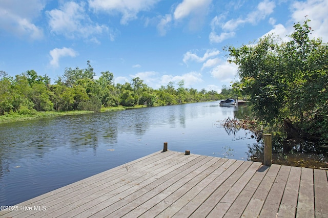 143 Rock Creek Dr, New Bern, NC 28562 - dock area with a water view