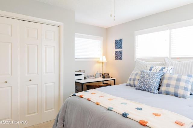 131 Paddle Wheel Cir, Washington, NC 27889 - bedroom featuring a closet