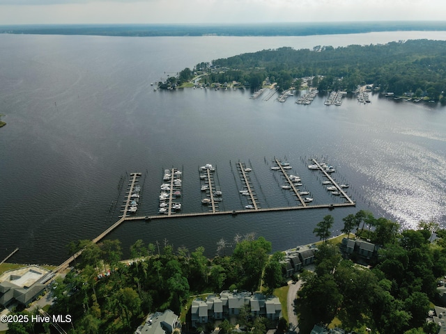 131 Paddle Wheel Cir, Washington, NC 27889 - aerial view of a nearby body of water and numerous boat docks
