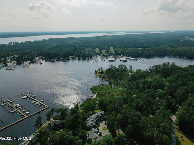 131 Paddle Wheel Cir, Washington, NC 27889 - aerial view of property's location featuring a nearby body of water, numerous boat docks, and a forest