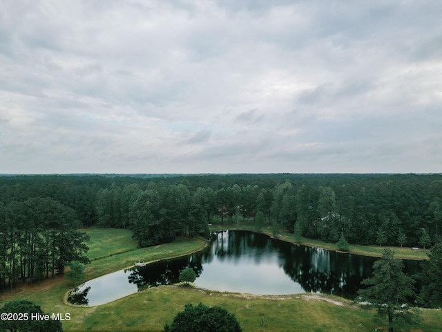 131 Paddle Wheel Cir, Washington, NC 27889 - water view featuring a heavily wooded area