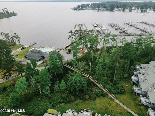 131 Paddle Wheel Cir, Washington, NC 27889 - aerial view of property's location with a large body of water and numerous boat docks