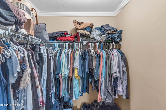 view of spacious closet
