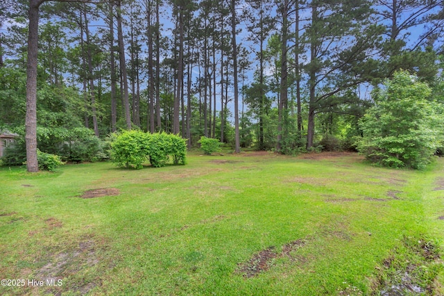 view of grassy yard