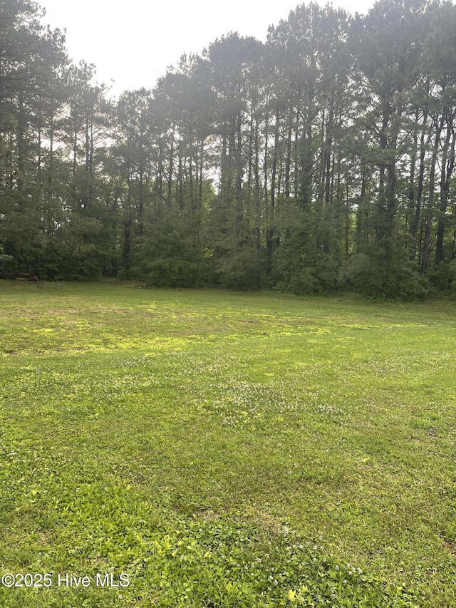 364 Weston Rd, Creswell, NC 27928 - view of grassy yard