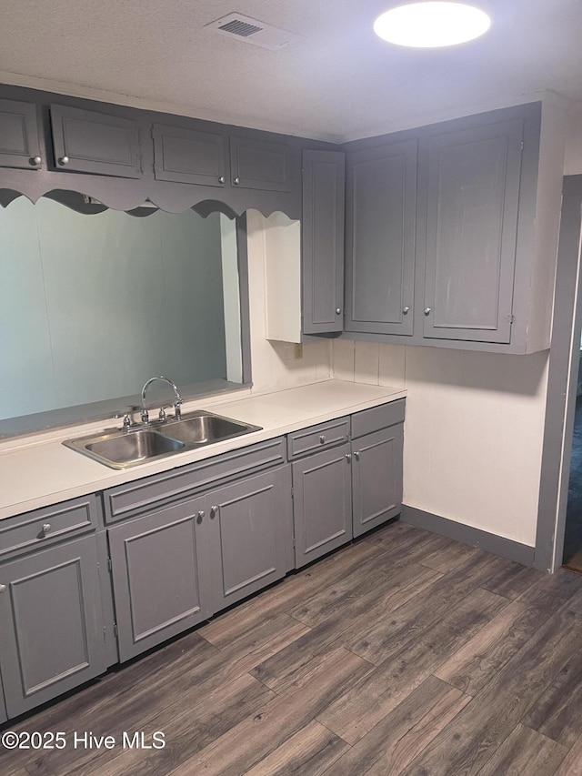 364 Weston Rd, Creswell, NC 27928 - kitchen featuring a sink, gray cabinets, dark wood-style flooring, and light countertops