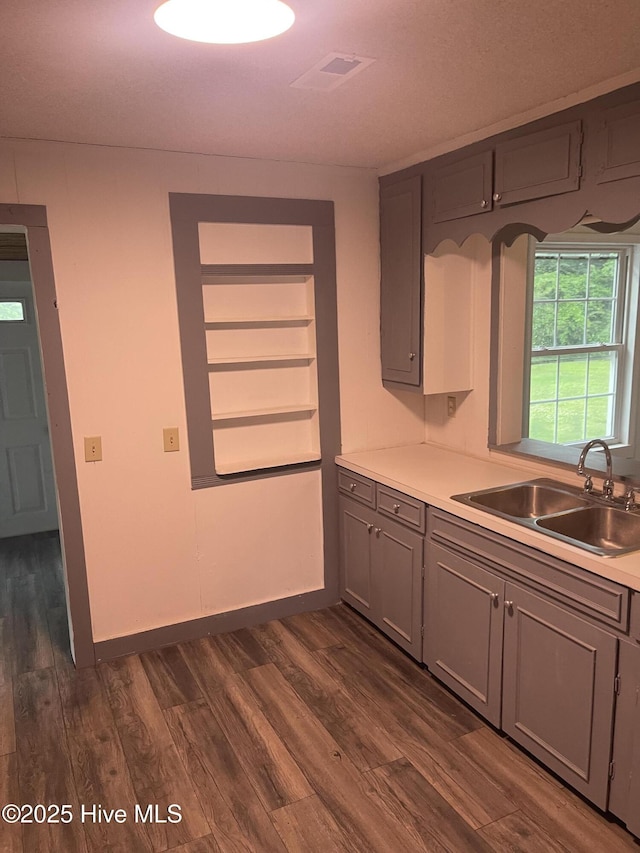 364 Weston Rd, Creswell, NC 27928 - kitchen featuring a sink, gray cabinets, dark wood finished floors, and light countertops