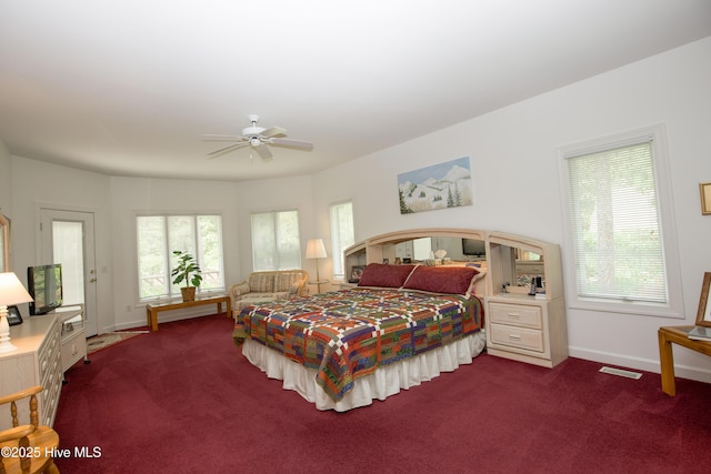 17 Troon Dr, Pinehurst, NC 28374 - bedroom featuring carpet flooring, multiple windows, and baseboards