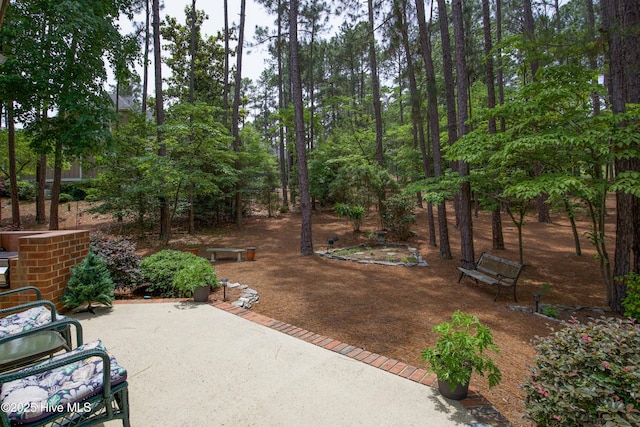 17 Troon Dr, Pinehurst, NC 28374 - view of patio / terrace