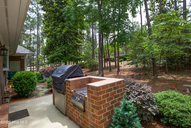 17 Troon Dr, Pinehurst, NC 28374 - view of patio featuring an outdoor kitchen