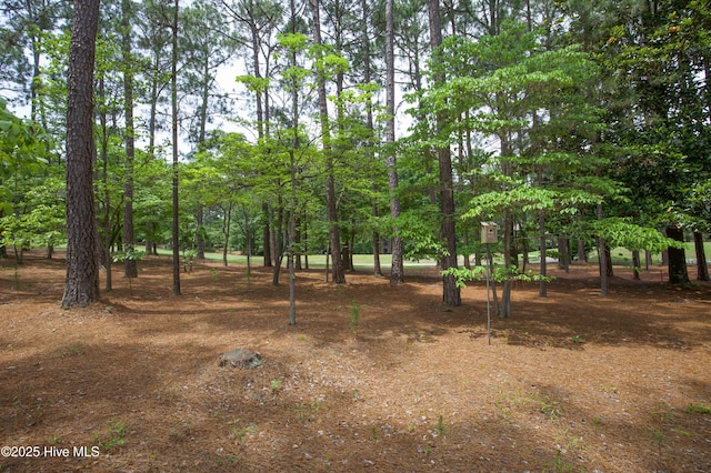 17 Troon Dr, Pinehurst, NC 28374 - view of yard