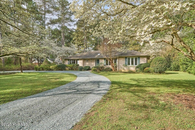 ranch-style house featuring curved driveway and a front lawn