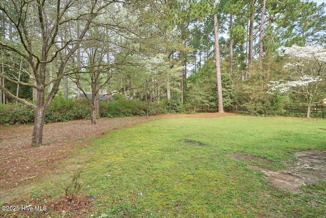 view of green lawn