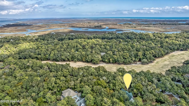 3 Sabal Palm Trl, Bald Head Island, NC 28461 - bird's eye view of a heavily wooded area and a large body of water
