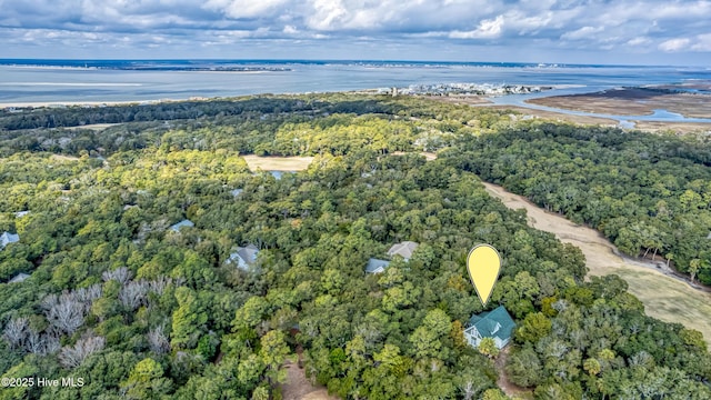 3 Sabal Palm Trl, Bald Head Island, NC 28461 - aerial view of a heavily wooded area and a large body of water