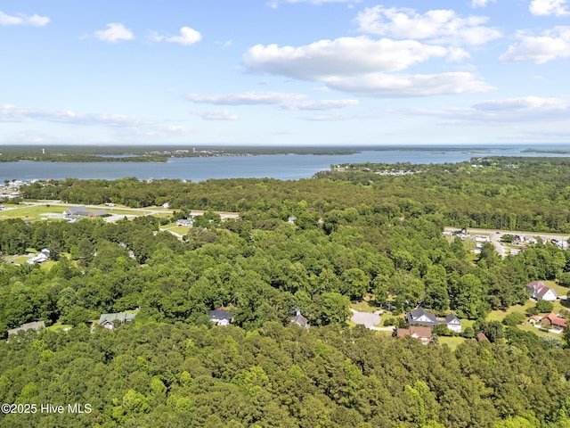 bird's eye view of a forest and a nearby body of water