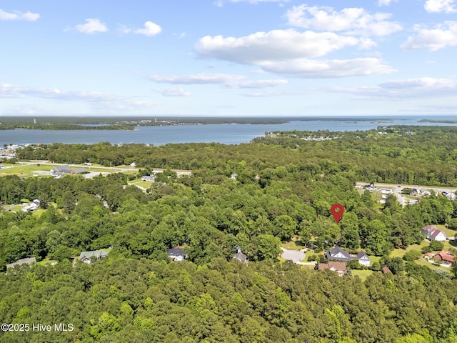 bird's eye view of a forest and a nearby body of water