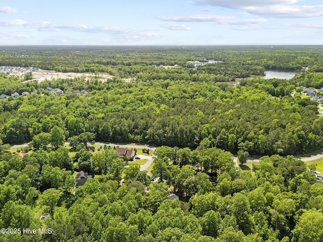 aerial view of a forest and a large body of water