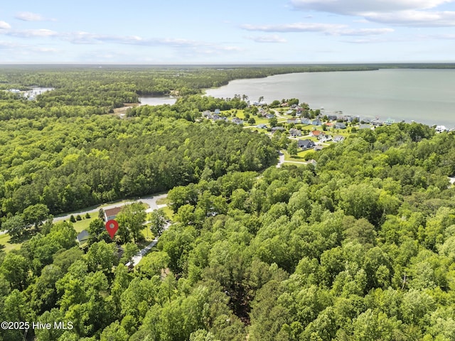 bird's eye view of a forest and a large body of water