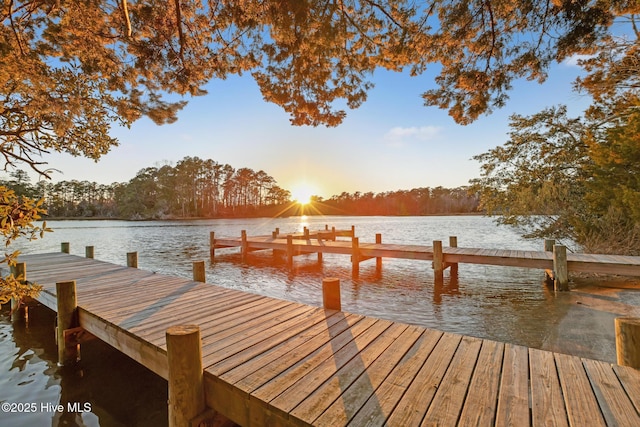 dock with a water view
