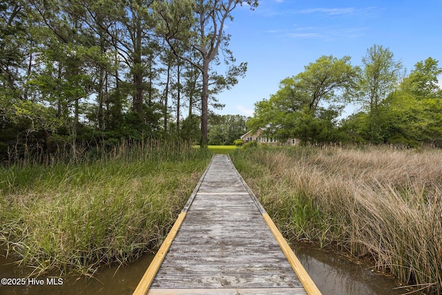 9333 Doris Dr, Oriental, NC 28571 - view of dock