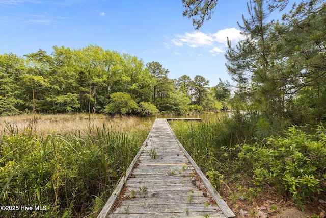 9333 Doris Dr, Oriental, NC 28571 - view of surrounding community