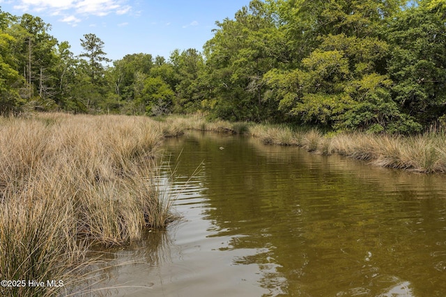 9333 Doris Dr, Oriental, NC 28571 - water view featuring a forest