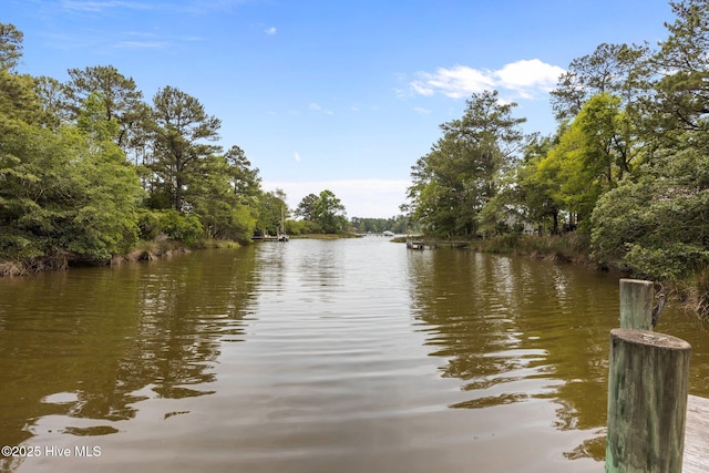 9333 Doris Dr, Oriental, NC 28571 - water view with a forest