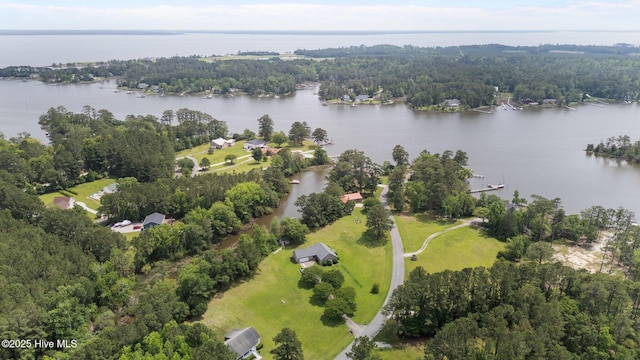 9333 Doris Dr, Oriental, NC 28571 - aerial view of property's location with a large body of water