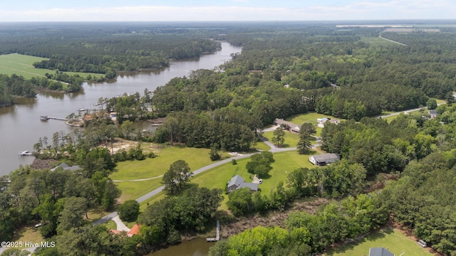 9333 Doris Dr, Oriental, NC 28571 - aerial view of property's location with a large body of water and a heavily wooded area