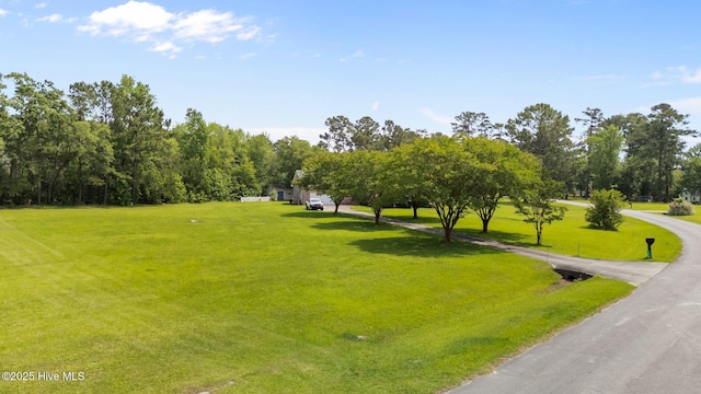 9333 Doris Dr, Oriental, NC 28571 - view of home's community featuring a yard
