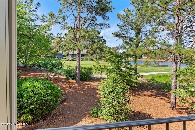 20 Shenecossett Ln, Pinehurst, NC 28374 - view of yard with a water view